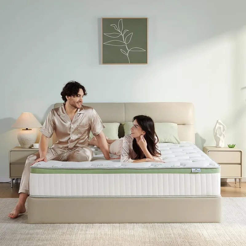 SNFPNE Queen Size Mattress 12 Inch